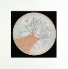 Dessin de la rétine